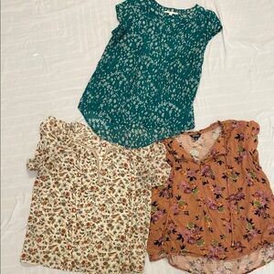 Buffalo David Bitton Green and Cream Blouse Elegant Design